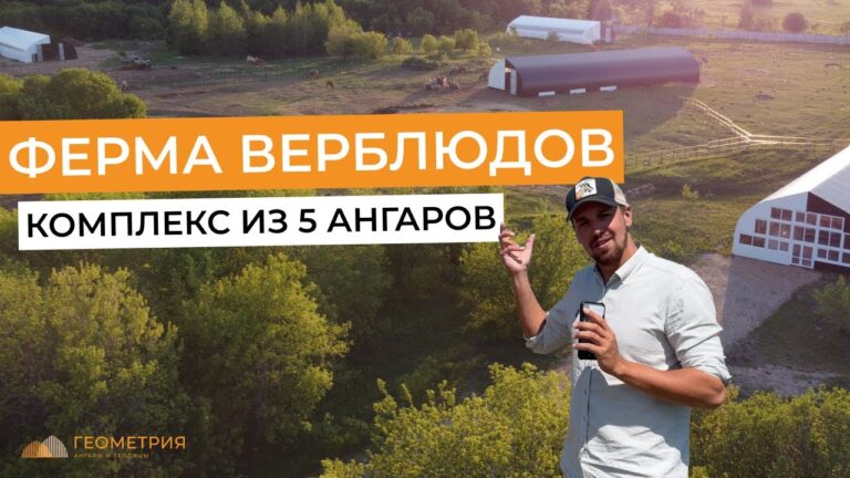 Подробнее о статье Комплекс каркасных ангаров для фермы верблюдов в Татарстане
